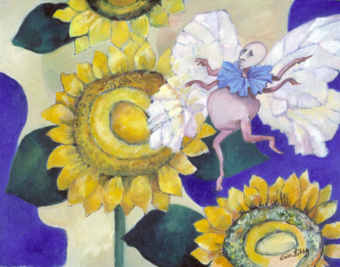 Fairy Sunflower